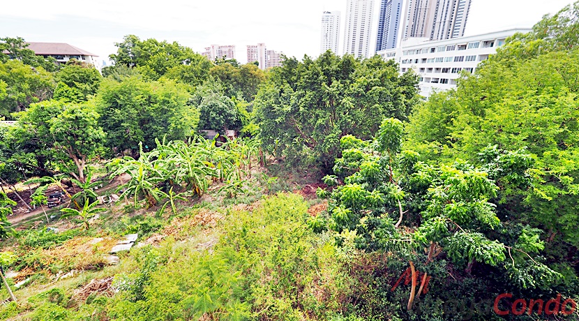 City Garden Tropicana