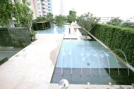 The Oasis