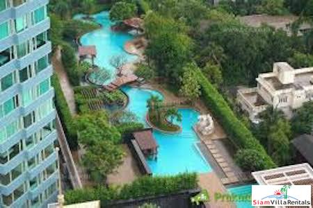 The Oasis